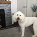 Jacqui Doe - Facebook