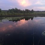 Jackie Dorey - @jackie.dorey - Instagram
