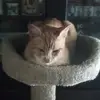 Jackie Doss - @jackie.doss - TikTok