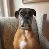 Jackie Dougherty956 - @jackiedougherty1 - TikTok