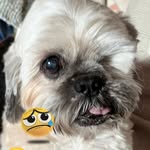 Jackie Dougherty - @jackie.dougherty.58 - Instagram