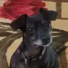 jackiedougherty28 - @jackiedougherty28 - TikTok