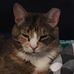 Jacqueline Dougherty - Facebook
