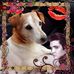 Jackie Dowling - Facebook
