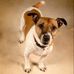 Jackie Dowell - Facebook
