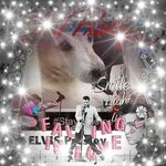 Jackie Dowling - @jackie.dowling.52 - Instagram
