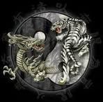 Jackie Dragon - Facebook