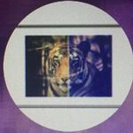Jackie Drew - @jackiedrew_ - Instagram