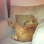 Jackie Driver - @driver5467 - Instagram