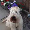Jackie Driver - @jackie.driver6 - TikTok