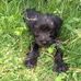 Jackie Driver - Facebook