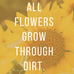 Jackie Drury- Recovery Support Specialist - Facebook