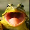 Jackiedu8 - @jackiedu8 - TikTok