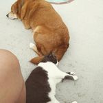 Jackie Dube - @grumble.baby - Instagram