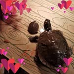Jackie Dufault - @dufaultjackie - Instagram