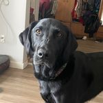 Jackie Dufour - @jackie_dufour - Instagram