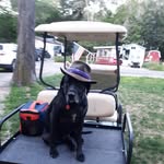 Jack Dugger - @jackdugger - Instagram