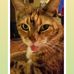 Jackie Dunham - Facebook