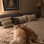 Jackie Danker - Facebook