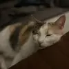 Jacki Dutton - @jacki.dutton - TikTok