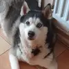Jackie Dutton - @jackie.dutton1 - TikTok