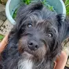 jackie dutton - @jackie.dutton38 - TikTok
