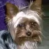 jackiedutton4 - @jackie.dutton5 - TikTok
