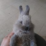 Jl Easter - @jackie.easter.16 - Instagram