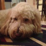Jack Eberhart - @jackheberhart - Instagram