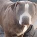 Jackie Eberhart - Facebook
