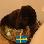 Jack Ebner - @ebner_jack - Instagram