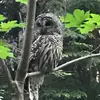 jackieeddy716 - @jackieeddy716 - TikTok