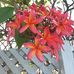 Jackie Eden - Facebook