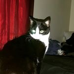 Jackie Cregger - @jackiecregger - Instagram