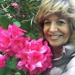 Jackie Ehrlich Epner - @justjackietravels1 - Instagram