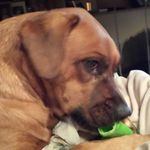 Jackie Eisele-McCarty - @eiselemccarty - Instagram