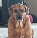 Jackie Eisele McCarty - Facebook