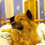 Jackie Elder - @jackieelder77 - Instagram