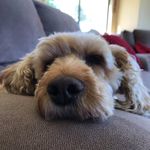 Jackie Elder - @jackieelder9 - Instagram