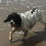 Jackie Ellerby - @jackie_ellerby - Instagram