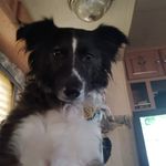 Jackie Epps - @jackiebo143 - Instagram