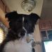 Jackie Epps - Facebook