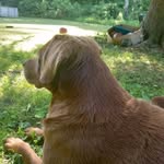 Jackie Ervin - @jackie_e2007 - Instagram