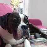 Jackie Everson - @jackie.everson68 - Instagram