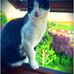 Jackie Falzone - Facebook