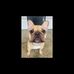 Jack Fedor - Facebook