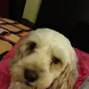 Jackie Feeney - @jackie.feeney8 - TikTok