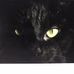 Jackie Ferro - Facebook
