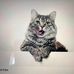 Jackie Ferro - Facebook
