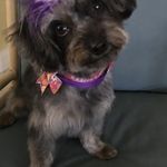 Jackie Finley - @quoe71157 - Instagram